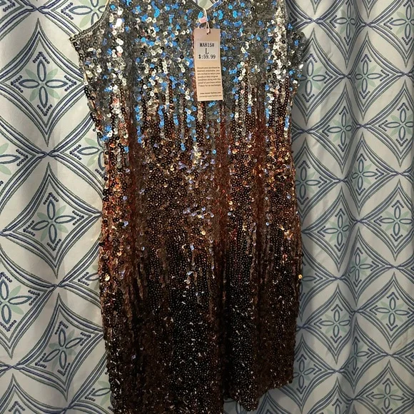 NWT Sequin Ombre Sleeveless Dress w/Perfectly in Tact Embellishments and Lined - Picture 6 of 16